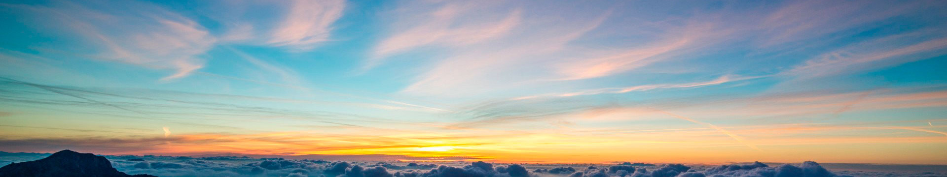 Flower Wrapping Accessories